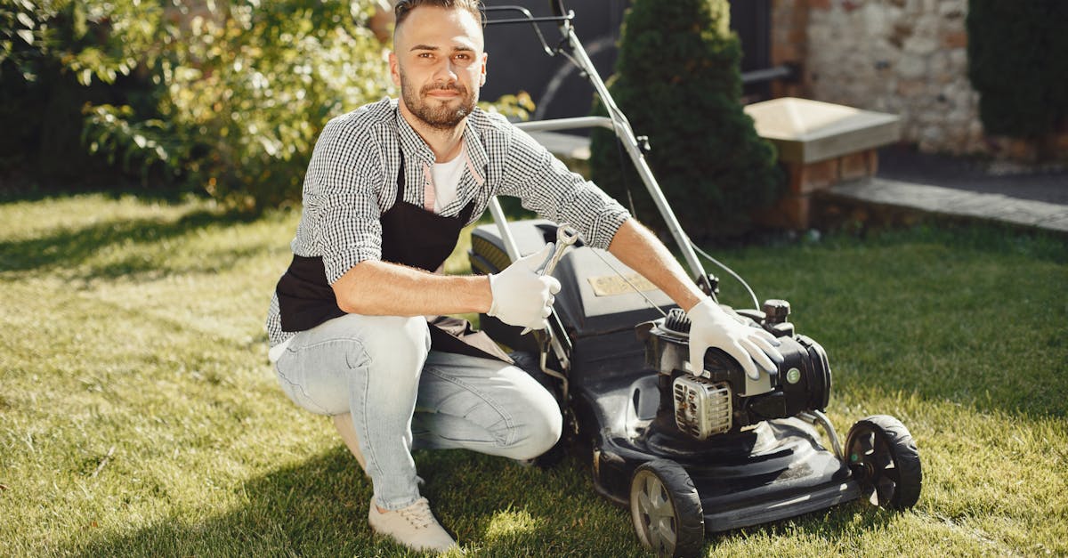 Lawn Care Services in Mesa